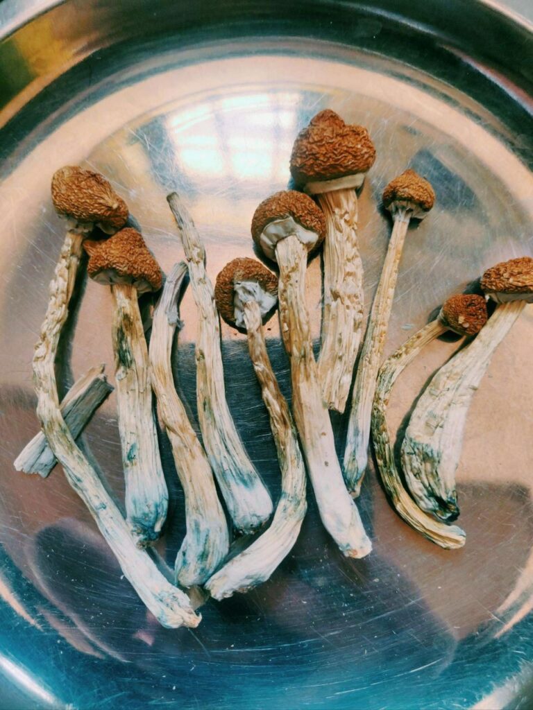 Are magic mushrooms legal in the UK?